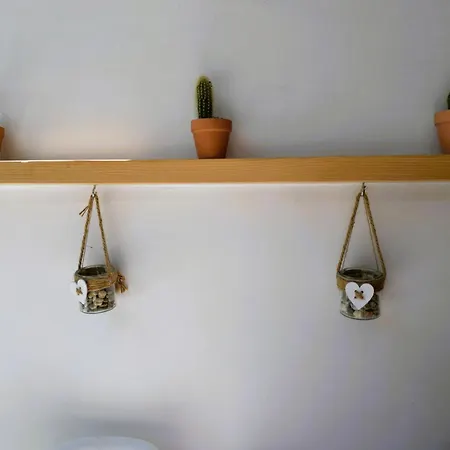 - Sun's Gift * פאלאוקסטריצה